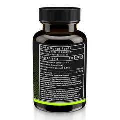 Master Zen - Stress Relief