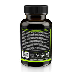 Master Zen - Stress Relief