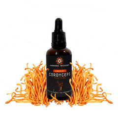 Cordyceps Mushroom Liquid Extract