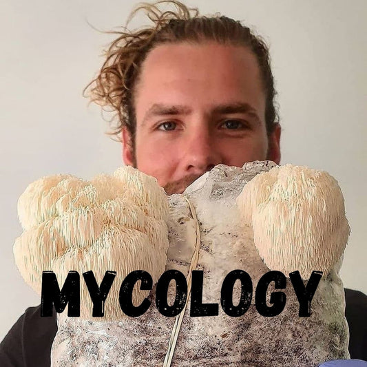 Harmonic Mycology - With Peter Herrman