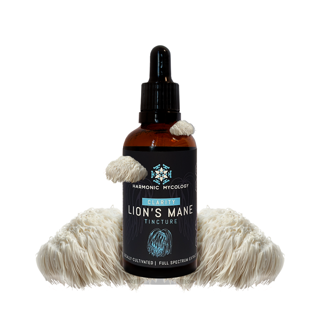 Lions Mane Mushroom Liquid Extract